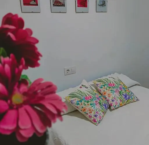 Acerota, Con Parking Gratuito