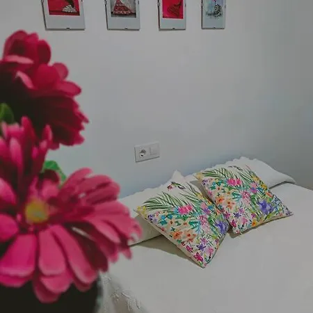 Acerota, Con Parking Gratuito